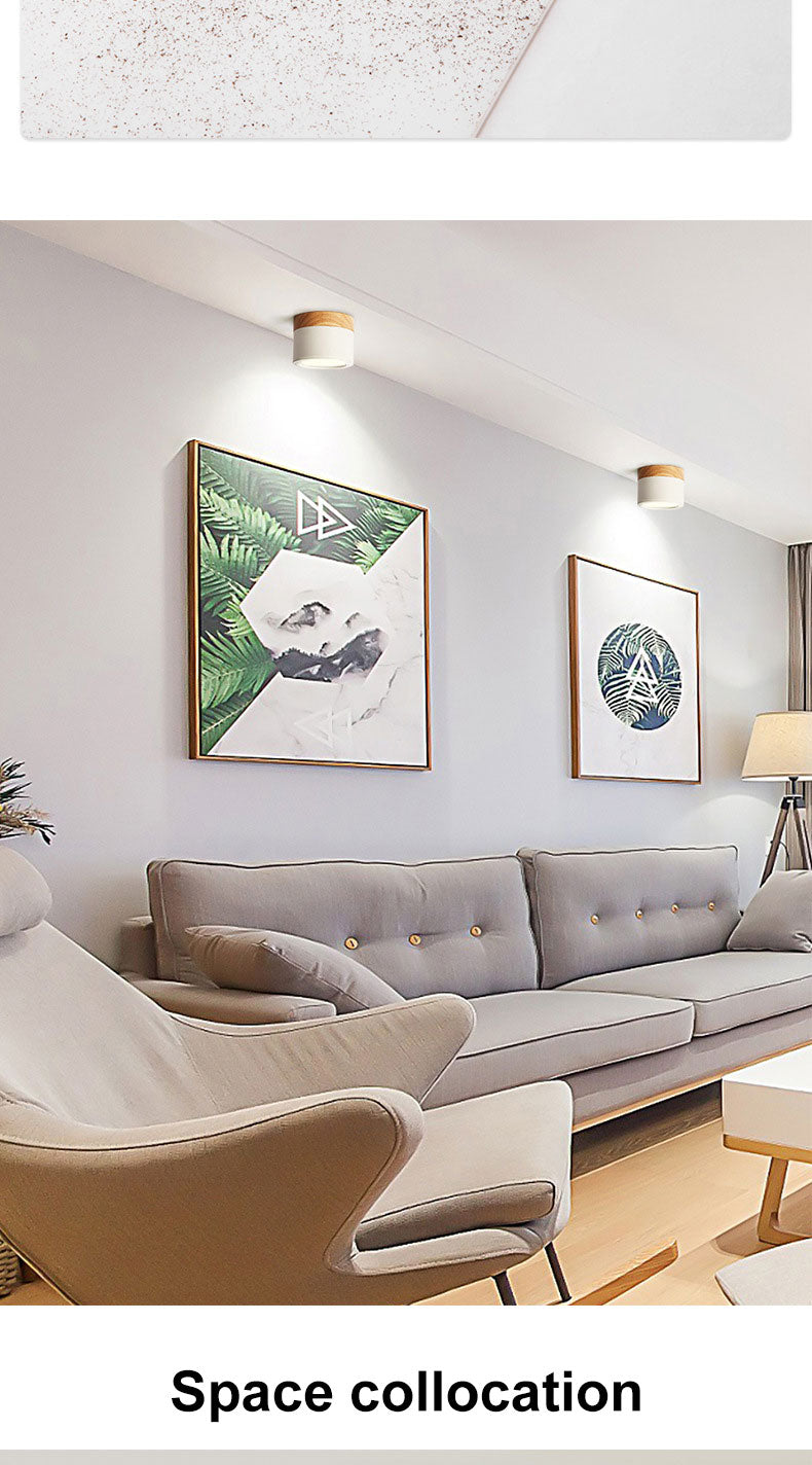 Surface mounted downlight led ceiling light Nordic style living room home corridor aisle light cloakroom lighting fixtures