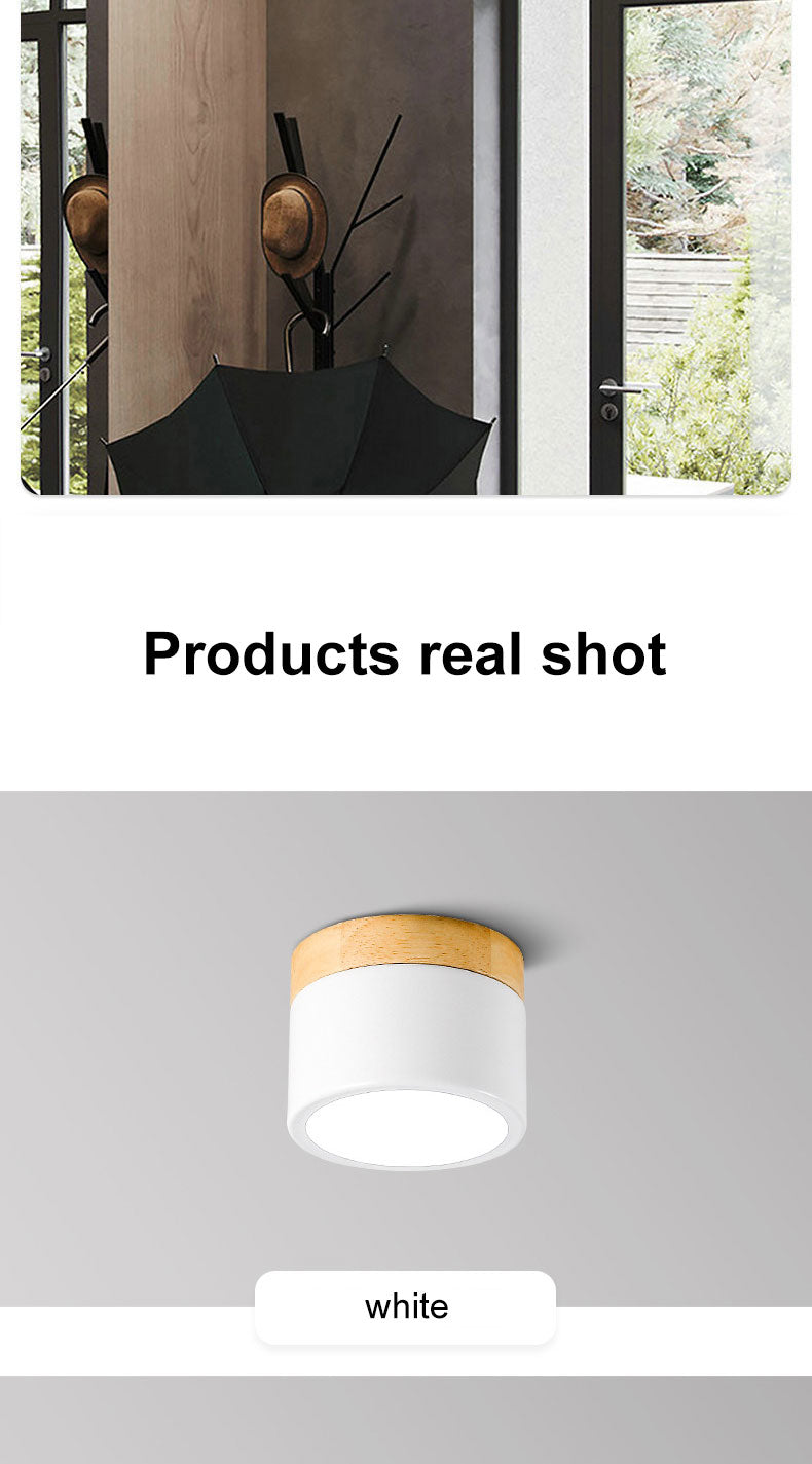 Surface mounted downlight led ceiling light Nordic style living room home corridor aisle light cloakroom lighting fixtures