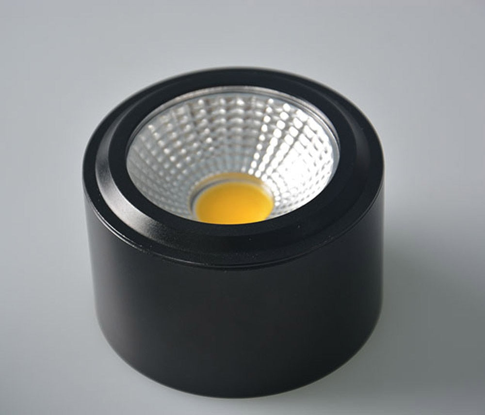 Surface Mounted LED Downlights 5W 7W 9W 12W Surface Mounted LED Downlight 110V 220V spot light Warm /Pure/ cool White