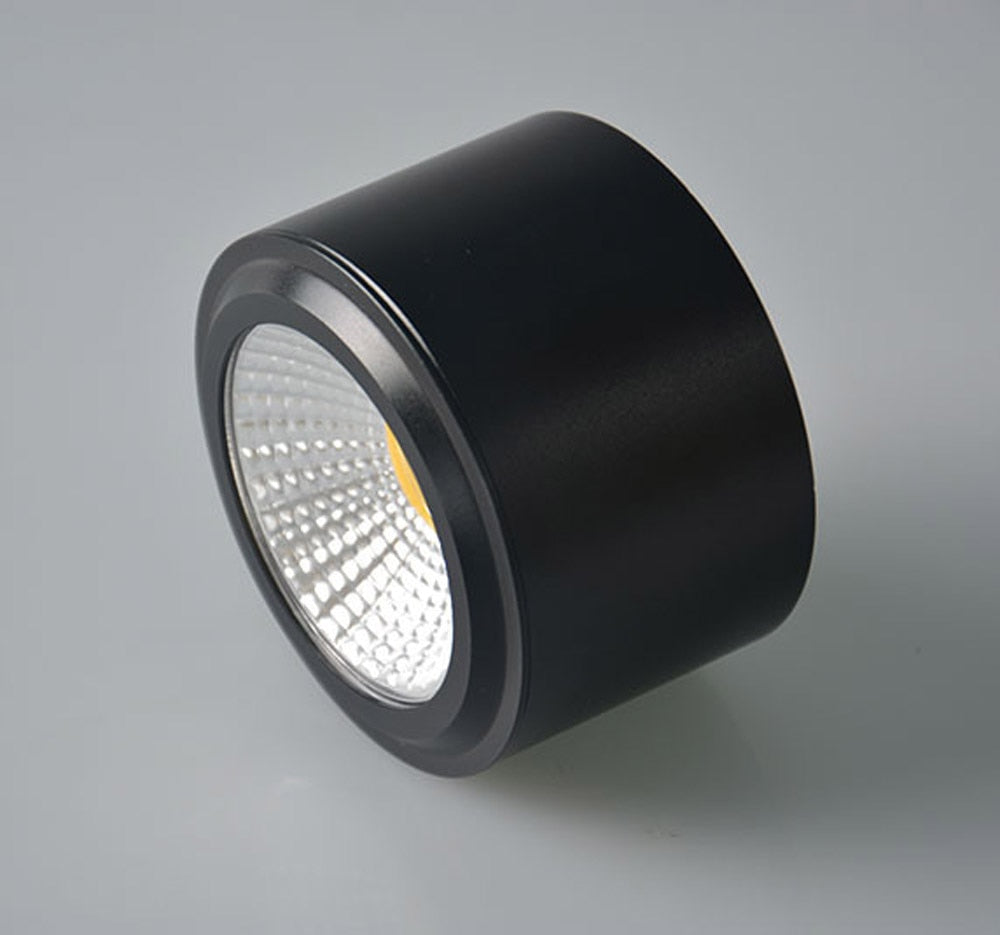 Surface Mounted LED Downlights 5W 7W 9W 12W Surface Mounted LED Downlight 110V 220V spot light Warm /Pure/ cool White