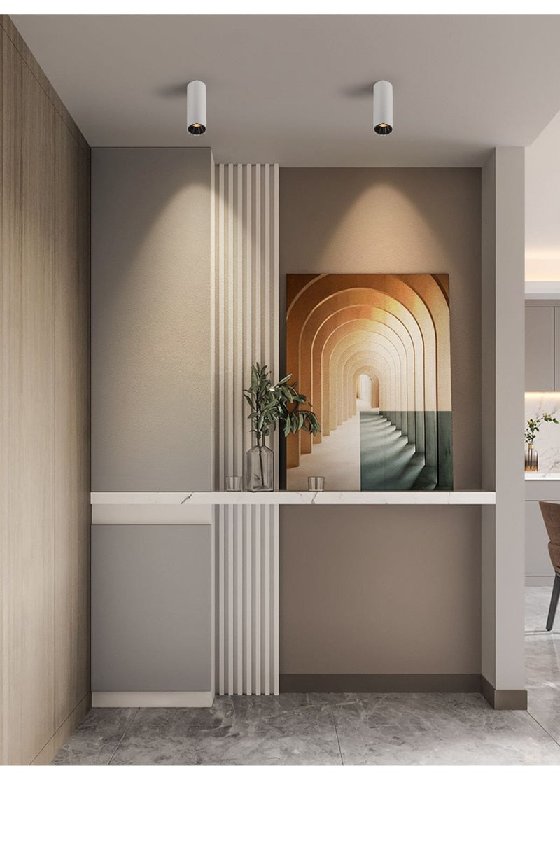 NEW Circular Aviation Aluminum Surface Mounted Ceiling Downlight White Black LED Spotlight 18W 30W 12° Dimmable 110V 220V