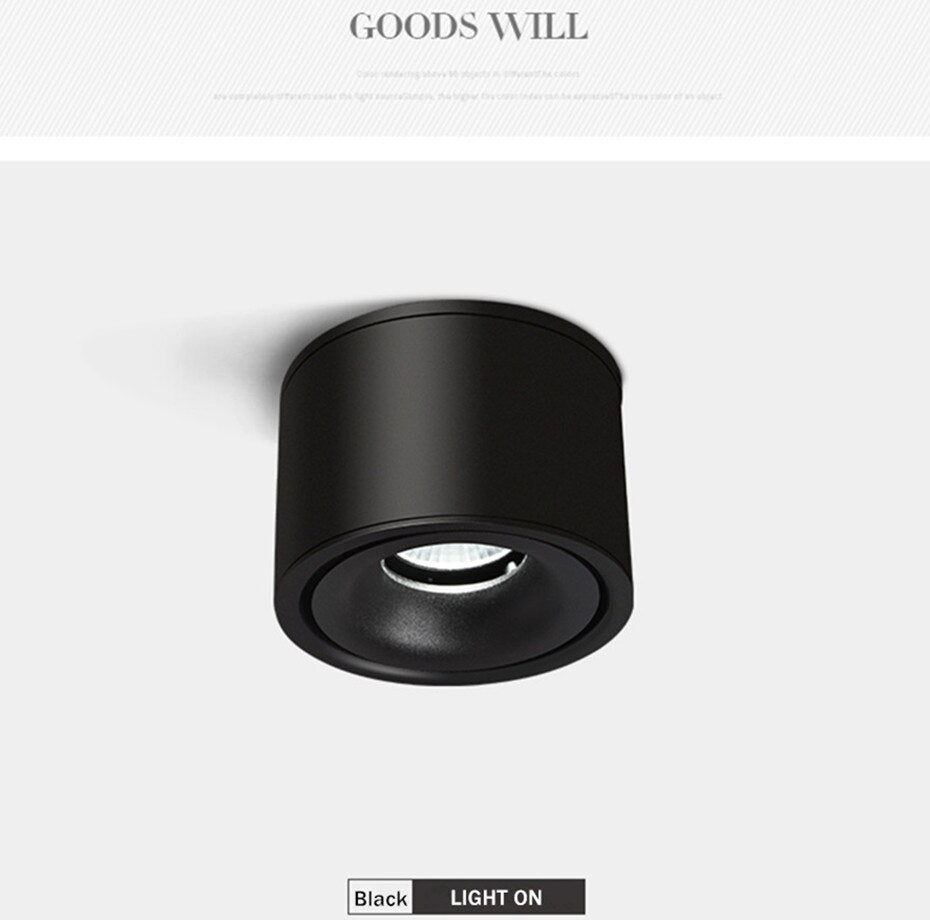 Adjustable Recessed Ceiling Downlights 9W 12W 15W Dimmable LED Recessed lamp Nordic Spot light for indoor Spot lighting fixture