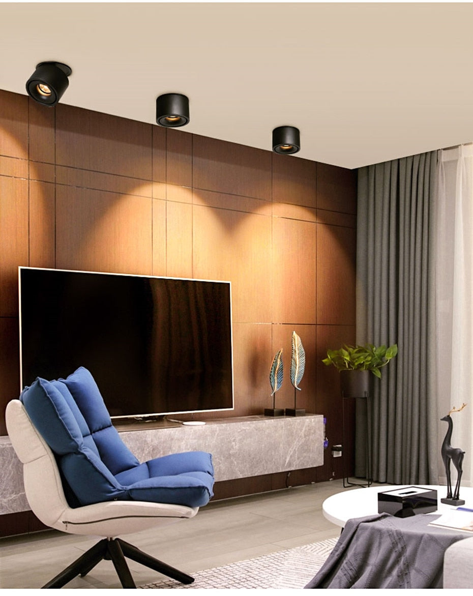 Adjustable Recessed Ceiling Downlights 9W 12W 15W Dimmable LED Recessed lamp Nordic Spot light for indoor Spot lighting fixture