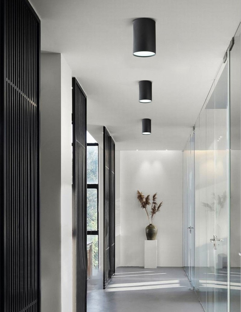 Dimmable Surface Mounted Downlight Ceiling Lamp 7W 12W 15W 18W 21W 24W LED COB Spot Light AC110/220V Ceiling Light