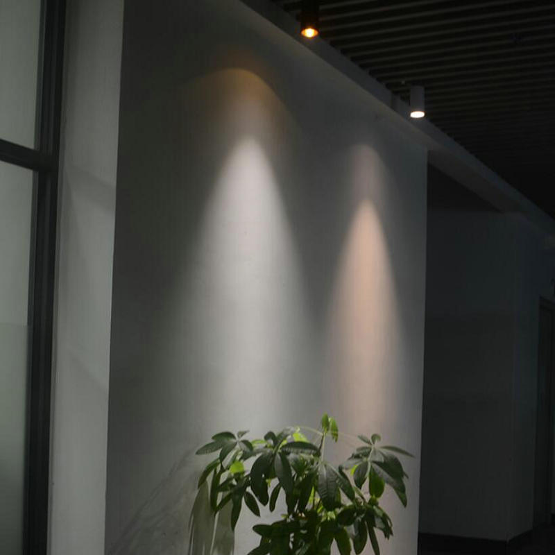 Surface Mounted LED Downlight 10W 15W AC110V AC220V AC240V COB LED Ceiling Spot Light Bedroom Indoor Lighting