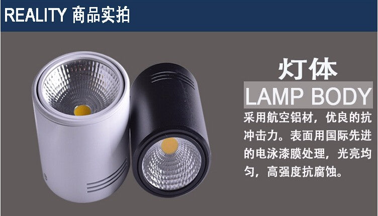 Surface Mounted 12W/18W LED Downlights AC110V/AC220V LED Downlight With White/Cold White/Black/White Housing Colors