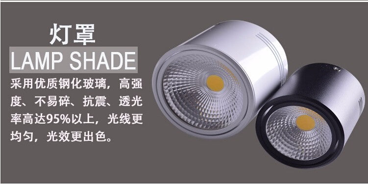 Surface Mounted 12W/18W LED Downlights AC110V/AC220V LED Downlight With White/Cold White/Black/White Housing Colors