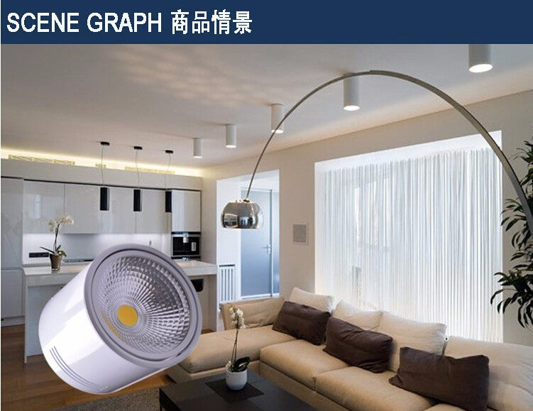 Surface Mounted 12W/18W LED Downlights AC110V/AC220V LED Downlight With White/Cold White/Black/White Housing Colors