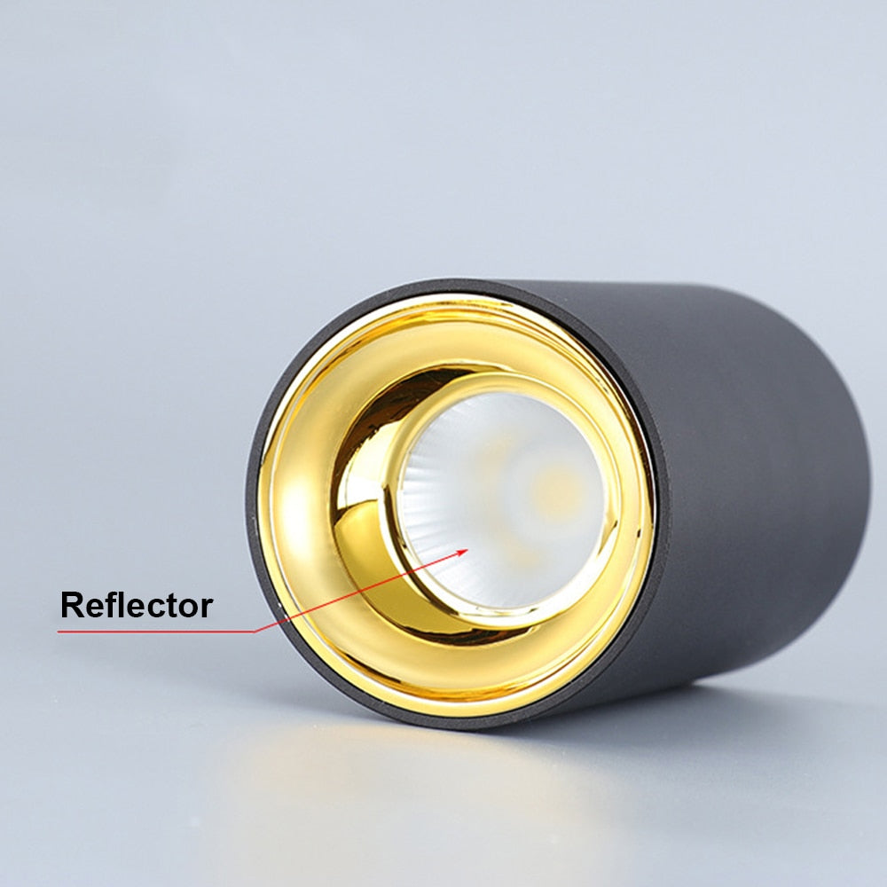 Surface Mounted 2 Colors LED Downlight COB Spot Light Anti Glare Ceiling Lamp