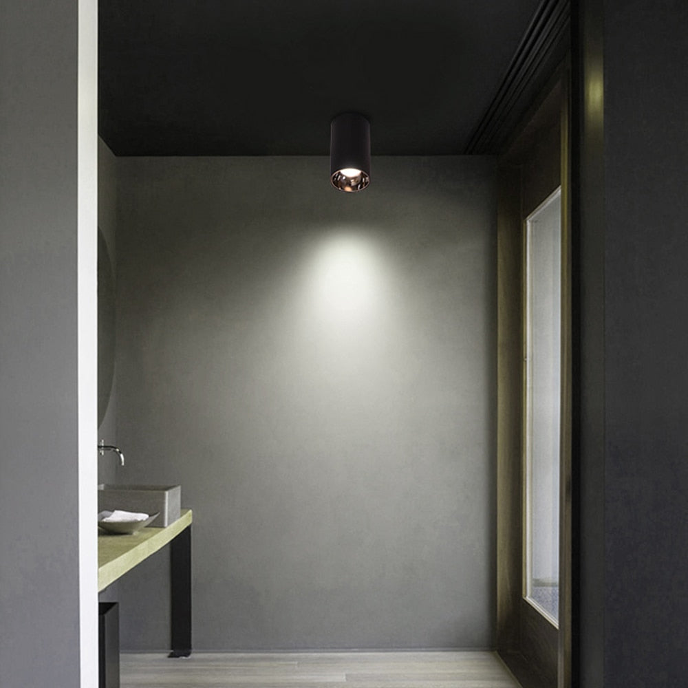 Surface Mounted 2 Colors LED Downlight COB Spot Light Anti Glare Ceiling Lamp