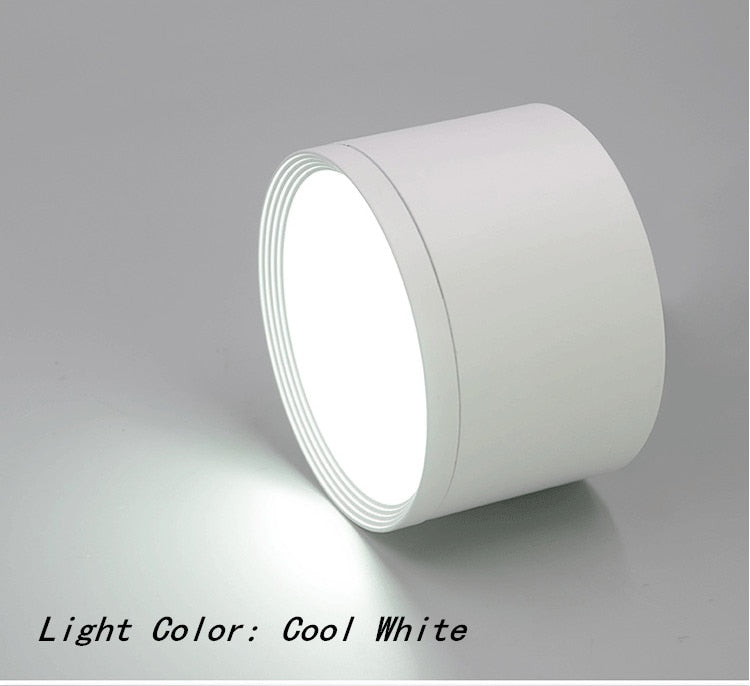 Surface Mounted Ceiling Downlight SMD5730 5W 7W 12W 18W AC85-265V lamp COB Led downlights Ceiling Spot light +led driver