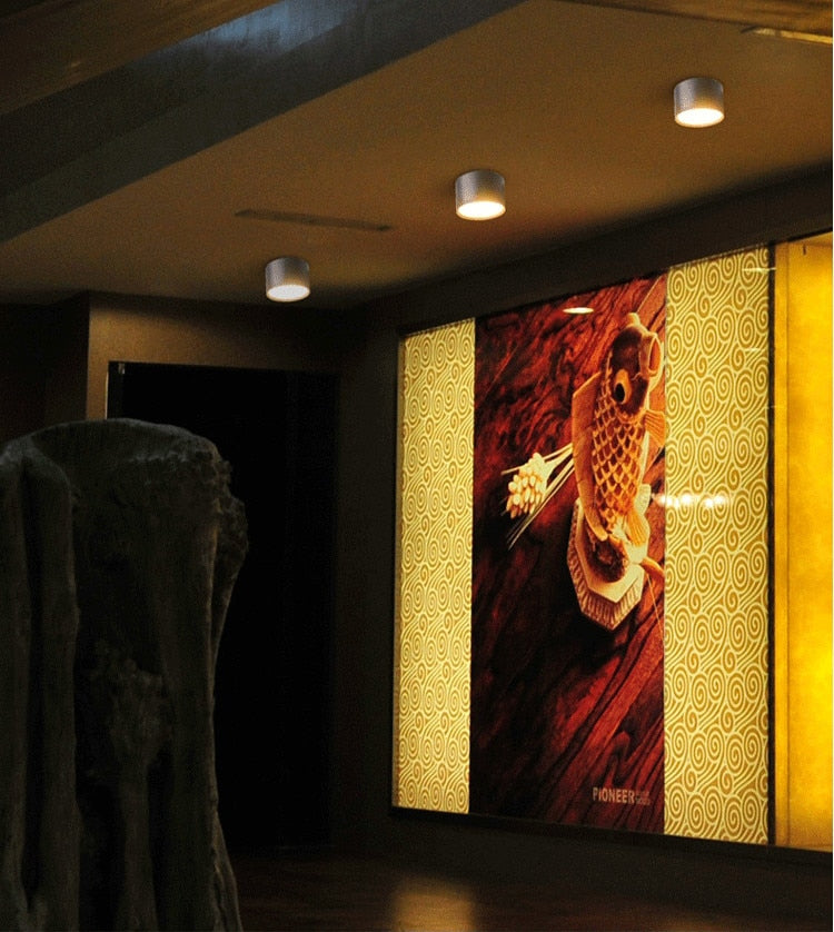 Surface Mounted Ceiling Downlight SMD5730 5W 7W 12W 18W AC85-265V lamp COB Led downlights Ceiling Spot light +led driver