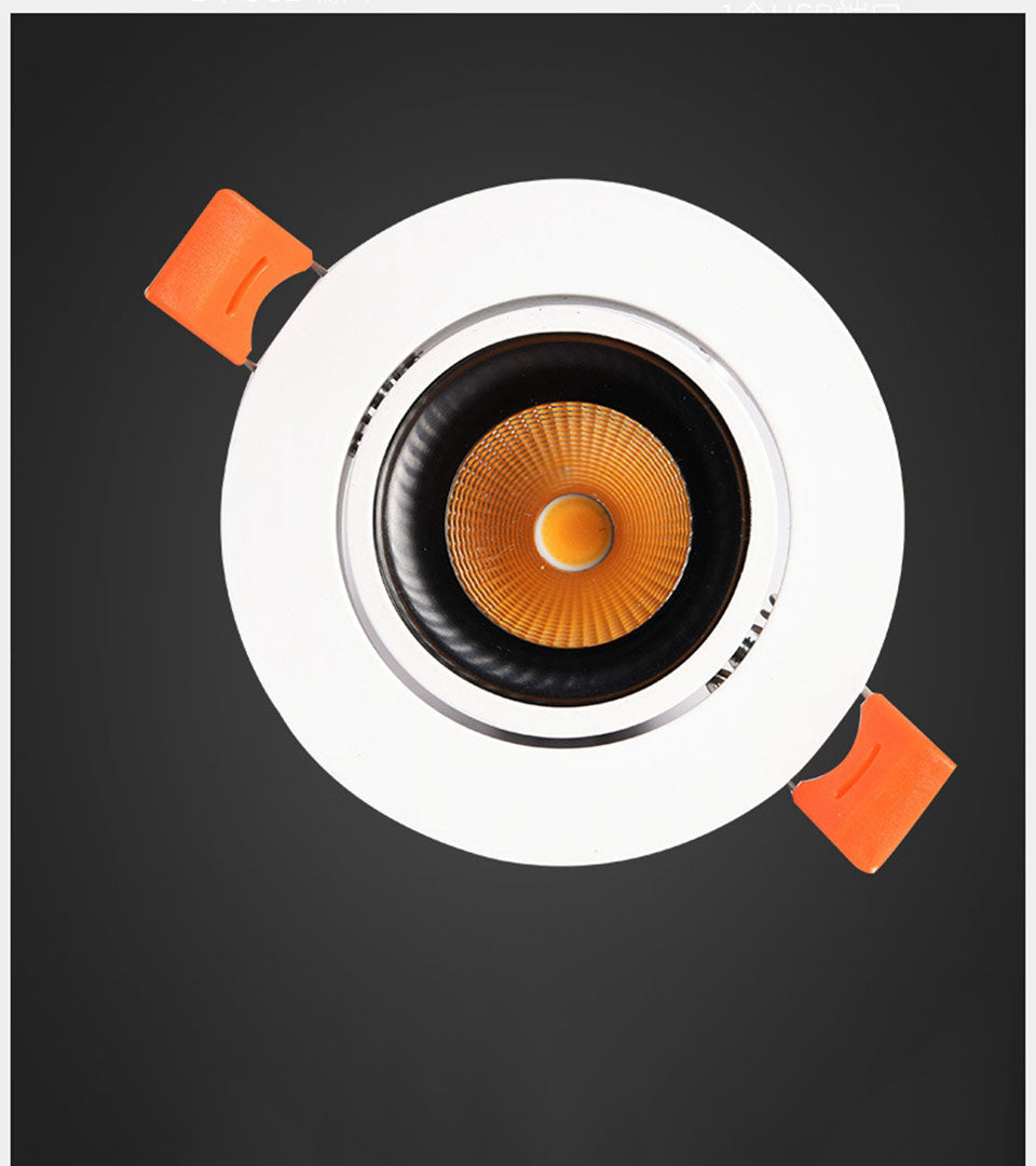 GD 3W 5W 10W 12W 15W LED Downlight AC220 Spot LED Anti Glare LED Spot For Home Decor + LED Driver