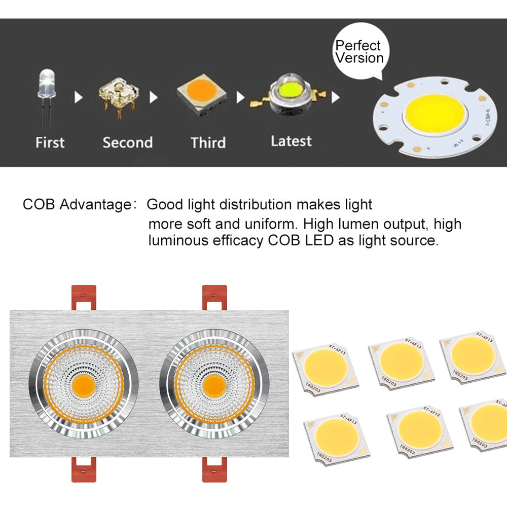 DBF Angle Adjustable Square Recessed Downlight 3000K/4000K/6000K Dimmable 10W 14W 18W 24W 2 Heads Ceiling Spot Light Home Decor