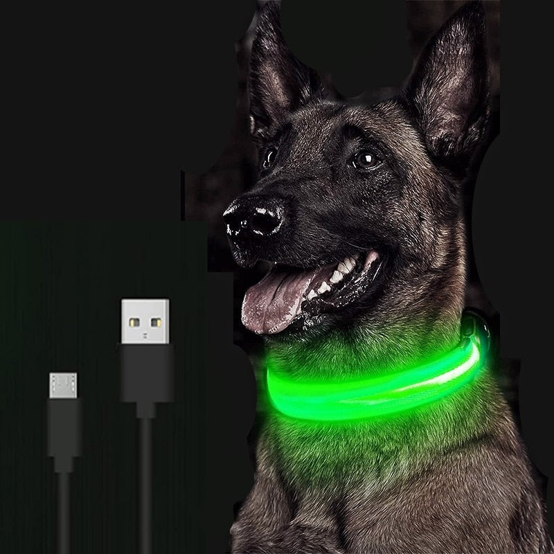 LED Glowing Dog Collar Rechargeable Luminous Collar Adjustable large Dog Night Light Collar Pet Safety Collar for Small Dogs Cat