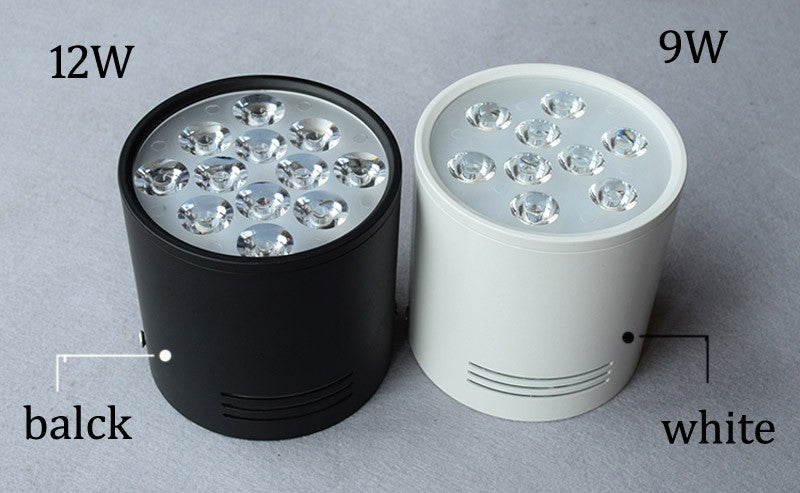 Led Decorative Ceiling Downlight 9W/12W Ceiling Mounted For Kitchen Bathroom Foyer