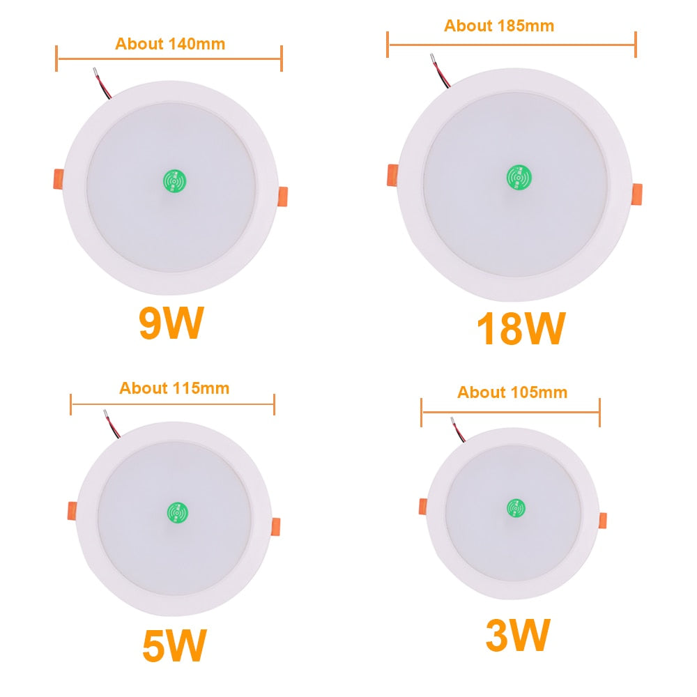 AC 220V LED Downlight Smart Voice Control Ceiling Lamp 3W 5W 9W 18W Ceiling Spot Light Recessed Lamp White Warm White Downlight
