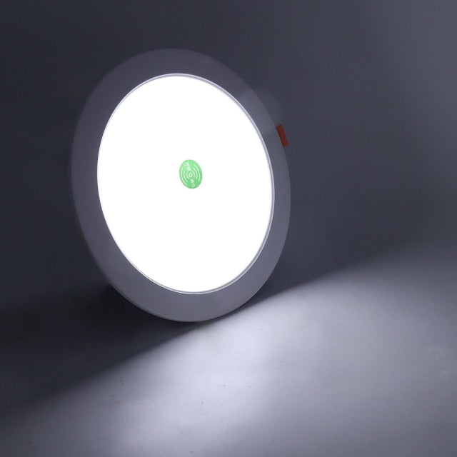 AC 220V LED Downlight Smart Voice Control Ceiling Lamp 3W 5W 9W 18W Ceiling Spot Light Recessed Lamp White Warm White Downlight