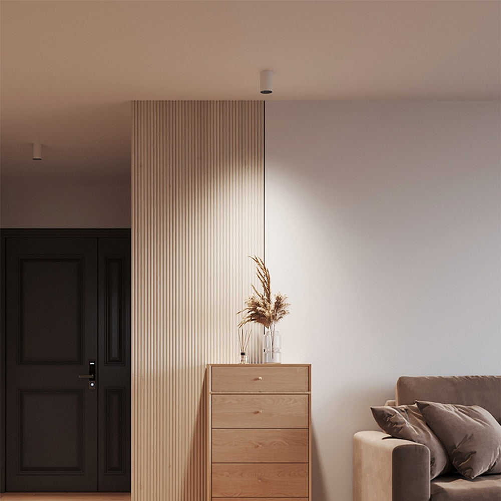 XRZLux Round Surface Mounted Led Downlights 10W COB LED Ceiling Spot Lights Aluminum Anti-glare LED Lamp Indoor Lighting