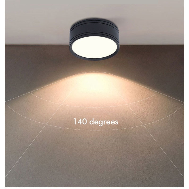 Ultra-thin 220V Led Downlight 24W 18W 12W 9W 7W 5W Surface Mounted Lamp Bedroom Spot lights Living room Kitchen Indoor Lighting