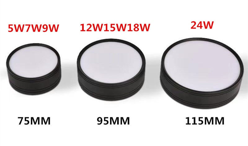 Ultra-thin 220V Led Downlight 24W 18W 12W 9W 7W 5W Surface Mounted Lamp Bedroom Spot lights Living room Kitchen Indoor Lighting