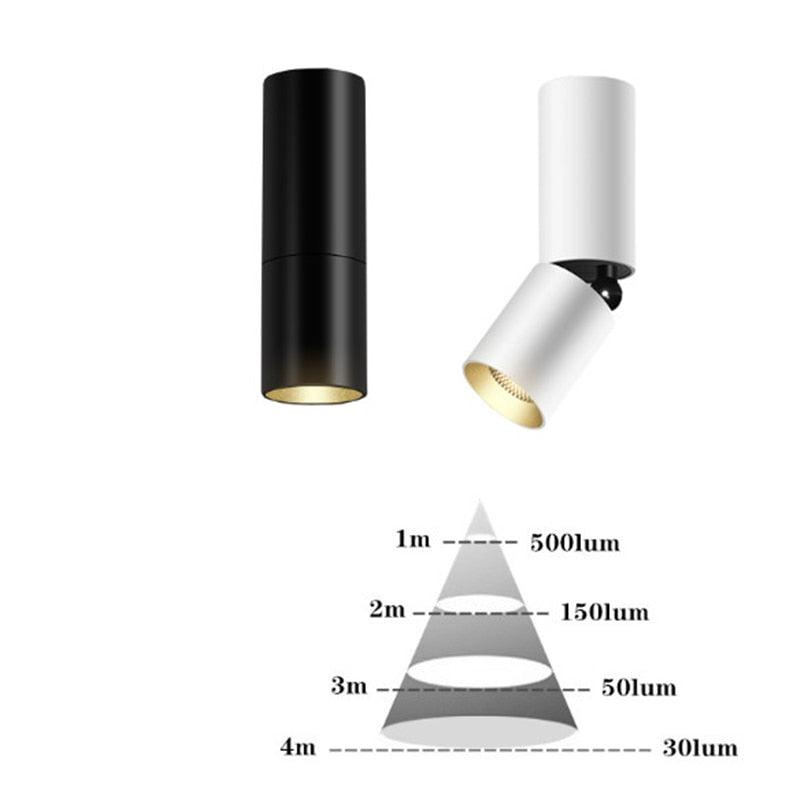 Led Surface Mounted Ceiling Downlight 3W 7W 10W ,Adjustable 360 degrees Spot light for indoor Foyer,Living Room Kitchen