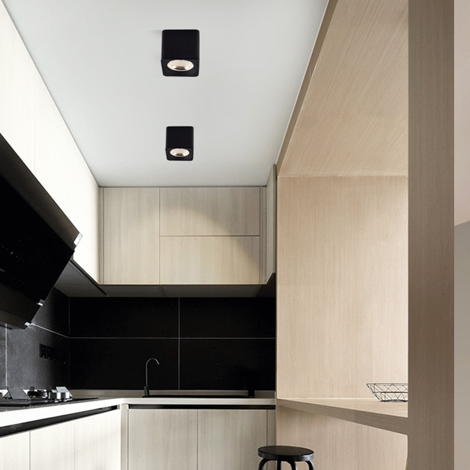 Led Downlight 110V 220V Surface Mounted Ceiling Downlight Spot Led COB 10W 20W Living Room Office Coffee Stores Spot Lighting