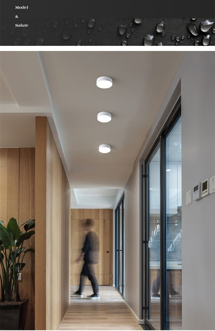 Aisle lights, corridor lights, ultra-thin no main lights, surface mounted downlights, concealed entrance lights, entrance lights