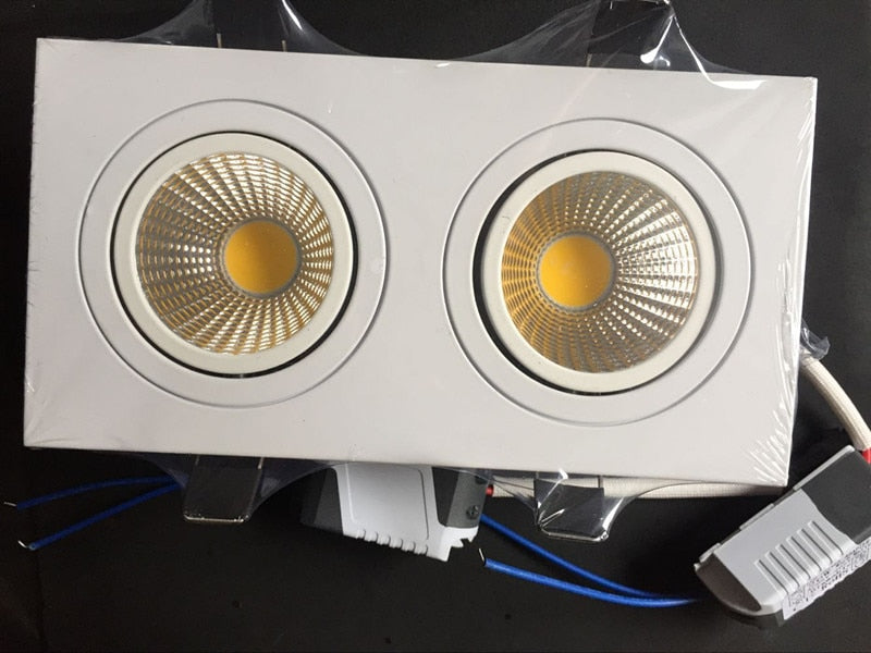 Led downlight double white square Dimmable light COB Ceiling Spot Light 2x10W ceiling recessed Lights Indoor Lighting