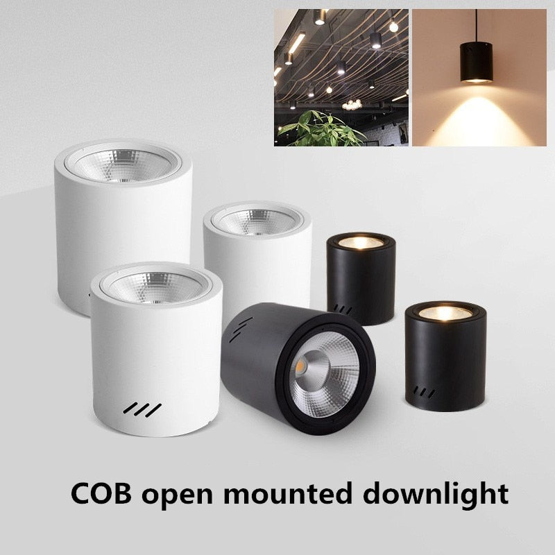 Surface Mounted Downlight 12W 15W 24W 36W 50W Dimmable cob downlight AC110/220V led ceiling light spot light with Driver