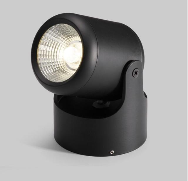 Dimmable LED Downlight 220V Adjustable Spotlight 12W 14W 18W 24W 110V Ceiling Lamp COB Warm white Natural white Indoor Lighting