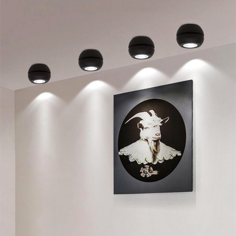 Adjustable Surface Mounted 360 Degree Folding LED Downlight 10W 15W 20W 30W 40W COB LED Down Light Ceiling Lamp Indoor Lighting