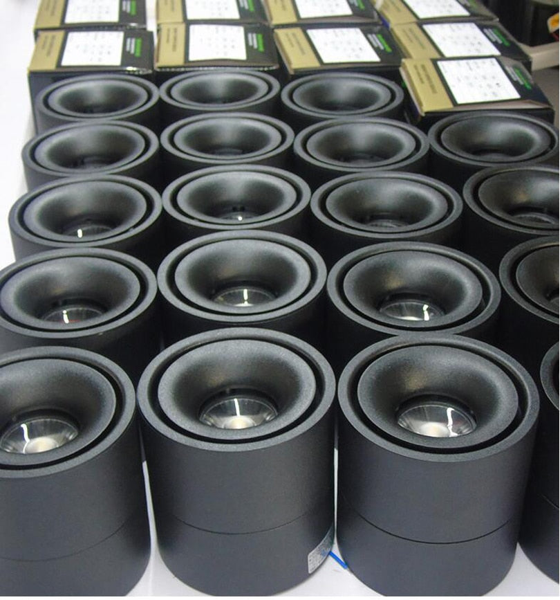 Dimmable 7W 10W 12W led downlight Surface mounted Adjustable 90 degrees Spot light 360 Rotatable led lamp for indoor Foyer,Hall