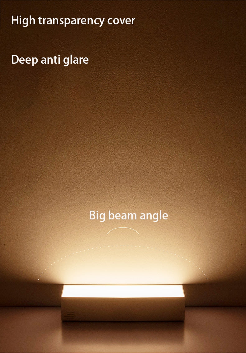 Saiyo LED Ceiling Lamp Surface mounted Downlight Aluminum Long Acrylic Cover Strip Lamp Rectangular Panel Light For Home Office