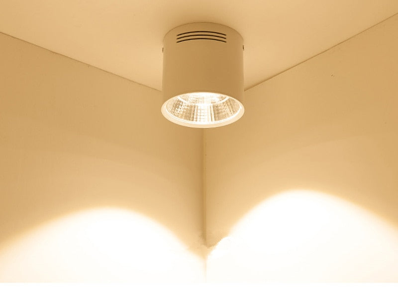 Surface Mounted LED Downlights 20W 30W LED Ceiling Down Lamp Kitchen Bathroom Dimmable LED COB Downlights 3000K/4000K/6000K