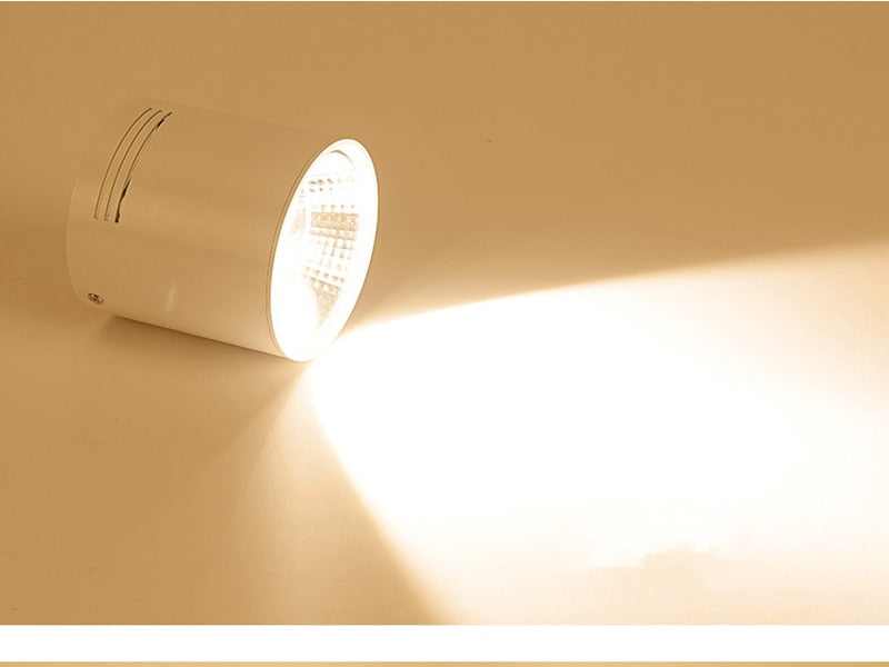 Surface Mounted LED Downlights 20W 30W LED Ceiling Down Lamp Kitchen Bathroom Dimmable LED COB Downlights 3000K/4000K/6000K