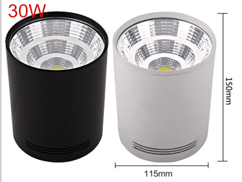 Surface Mounted LED Downlights 20W 30W LED Ceiling Down Lamp Kitchen Bathroom Dimmable LED COB Downlights 3000K/4000K/6000K