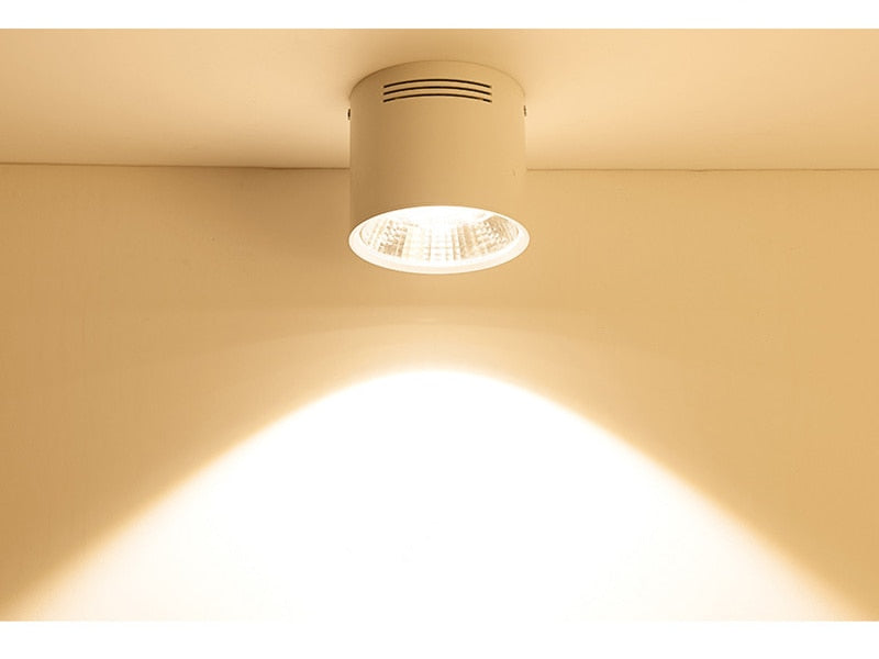 Surface Mounted LED Downlights 20W 30W LED Ceiling Down Lamp Kitchen Bathroom Dimmable LED COB Downlights 3000K/4000K/6000K