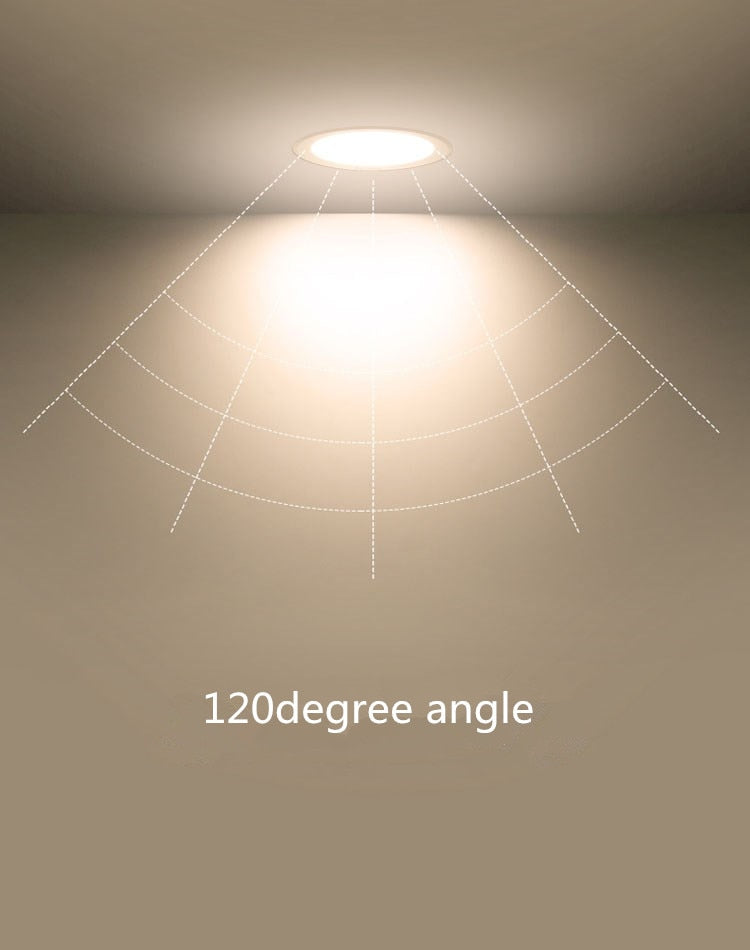 LED Recessed Downlight Lamp 220V 240V 110V Dimmable LED Ceiling Spot Lighting Ultra Thin 3W 5W 7W 9W 12W 15W Led Bulb Bedroom