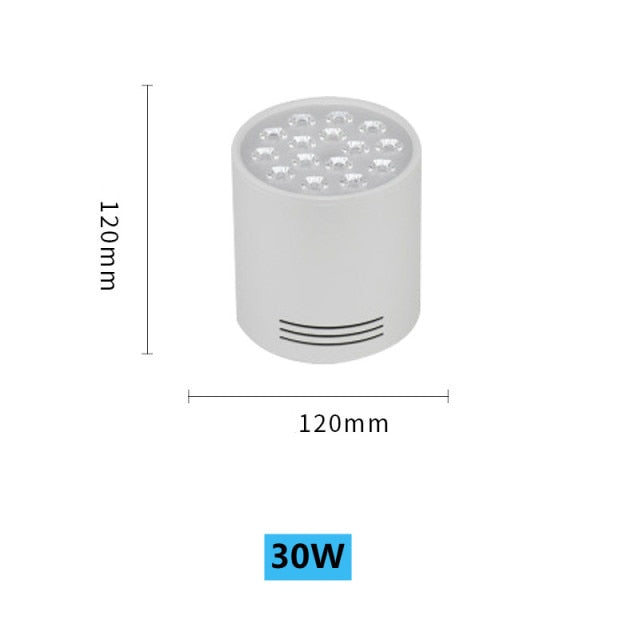 High-Power LED Downlight 36W 30W Dimmable 110V 220V Surface Mounted Ceiling Light 14W 24W Spot Lamp 18W For Indoor Lighting