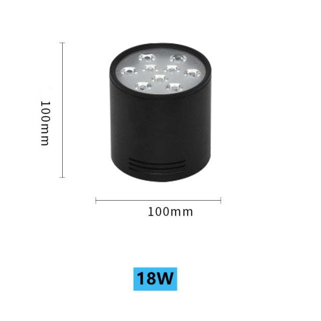 High-Power LED Downlight 36W 30W Dimmable 110V 220V Surface Mounted Ceiling Light 14W 24W Spot Lamp 18W For Indoor Lighting