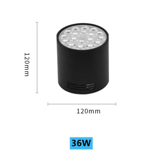 High-Power LED Downlight 36W 30W Dimmable 110V 220V Surface Mounted Ceiling Light 14W 24W Spot Lamp 18W For Indoor Lighting