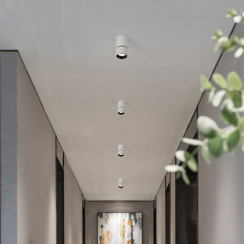 LED Downlight Ceiling Spot lights for Living Lamp 5w 7w Ceiling Lighting For Kitchen Bathroom light Surface mounted AC90-260V