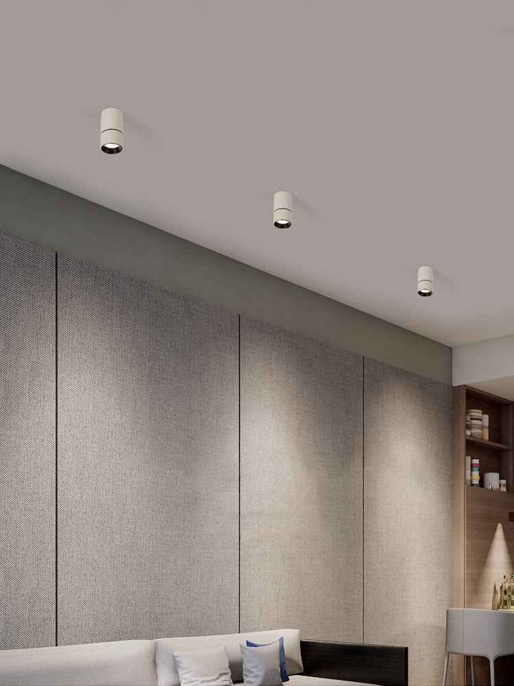 LED Downlight Ceiling Spot lights for Living Lamp 5w 7w Ceiling Lighting For Kitchen Bathroom light Surface mounted AC90-260V