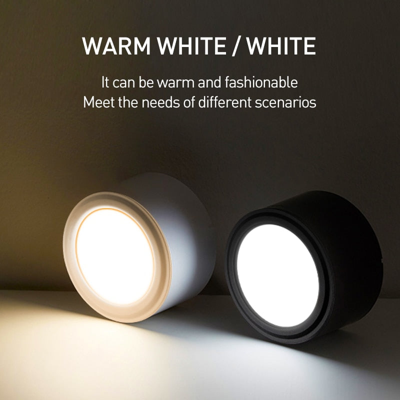 Surface Mounted LED Downlight 10W 15W LED Ceiling Lamps COB Spot Light AC85-265V Needs Driver Indoor Home Decoration Lighting