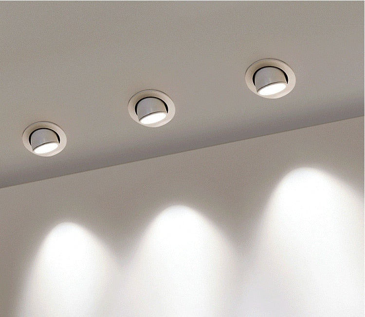 High Power Dimmable LED Downlight 10W 15W 20W 30W Adjustable 360 COB Ceiling Elephant Trunk Downlight AC85-265v Home Lighting