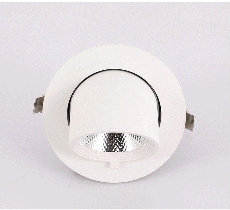 High Power Dimmable LED Downlight 10W 15W 20W 30W Adjustable 360 COB Ceiling Elephant Trunk Downlight AC85-265v Home Lighting