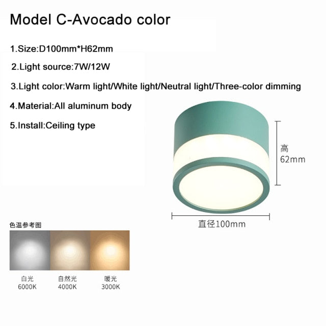Surface Mounted Downlight Led 7W 12W Nordic Round Living Room Aisle Ceiling Light Macaron Free Hole Three-color Small Spotlight