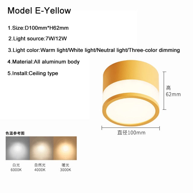 Surface Mounted Downlight Led 7W 12W Nordic Round Living Room Aisle Ceiling Light Macaron Free Hole Three-color Small Spotlight