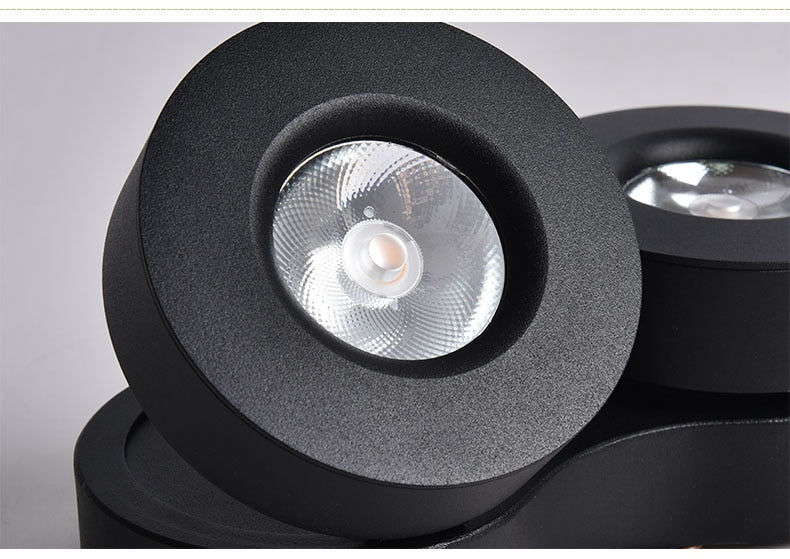 Adjustable Surface Mounted LED Downlight 2x12W 2x15W 2x20W COB LED Ceiling Lamps Down Light LED Spotlight Rotatable